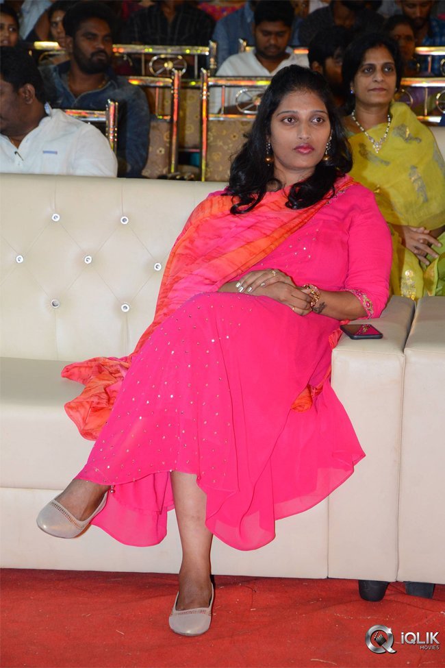 Krishnarjuna-Yuddham-Pre-Release-Function